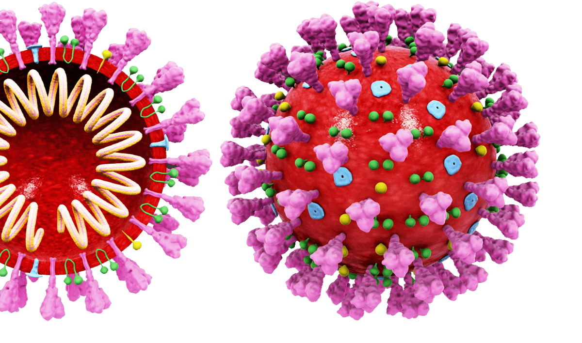 Пирола вирус. Коронавирус микробиология. Коронавирус 2021 коронавирус 2021. Коронавирус изображение. Макет коронавируса.