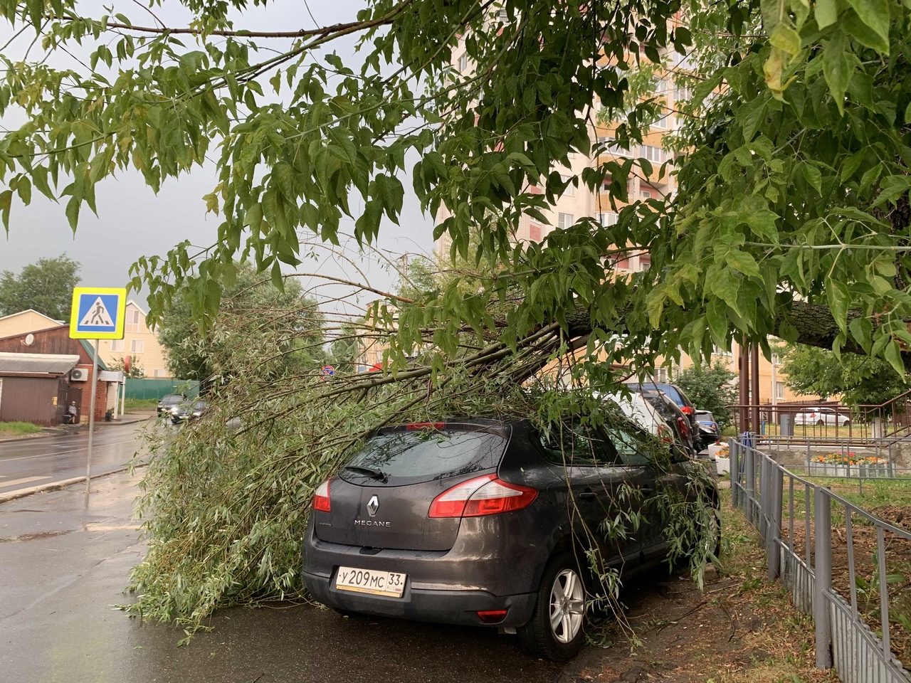 Во Владимире на улице Диктора Левитана во время грозы на автомобиль упало  дерево