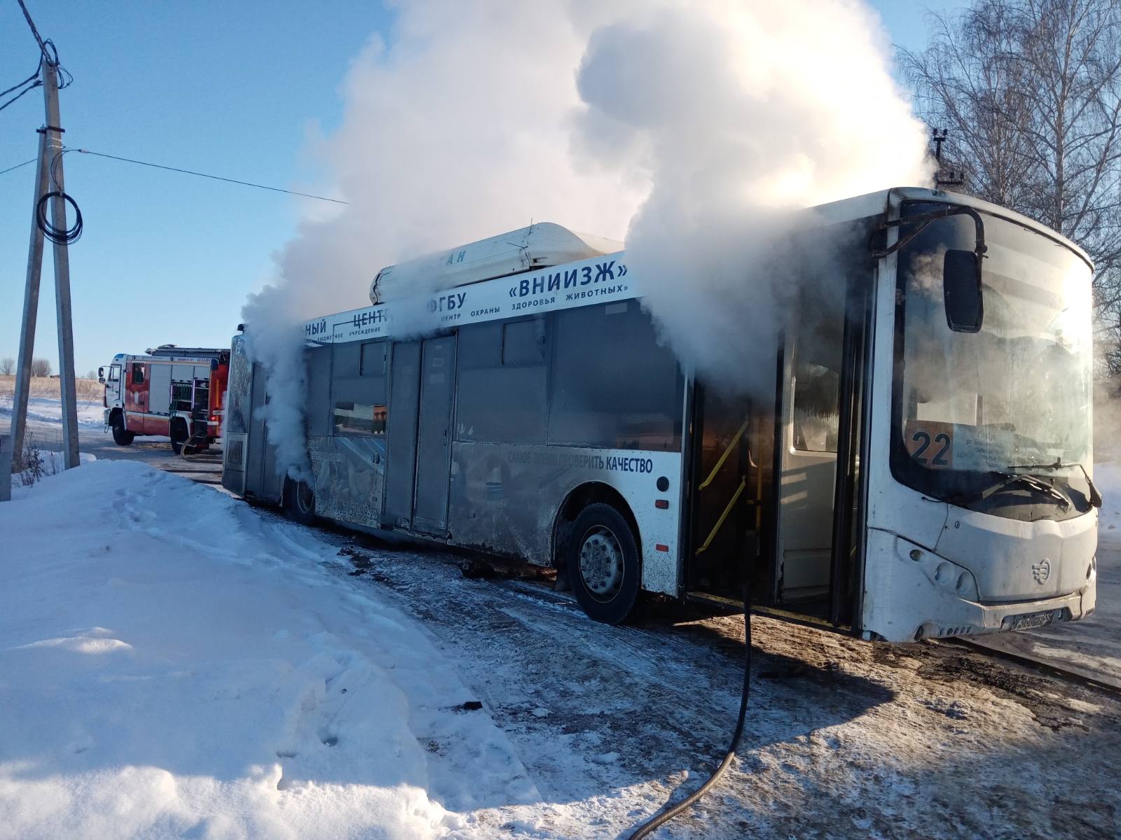 Раз автобус. Автобусы Владимир во579. Волгабас Владимир адм. Во Владимире загорелся автобус. Автобус Владимир у376нн.