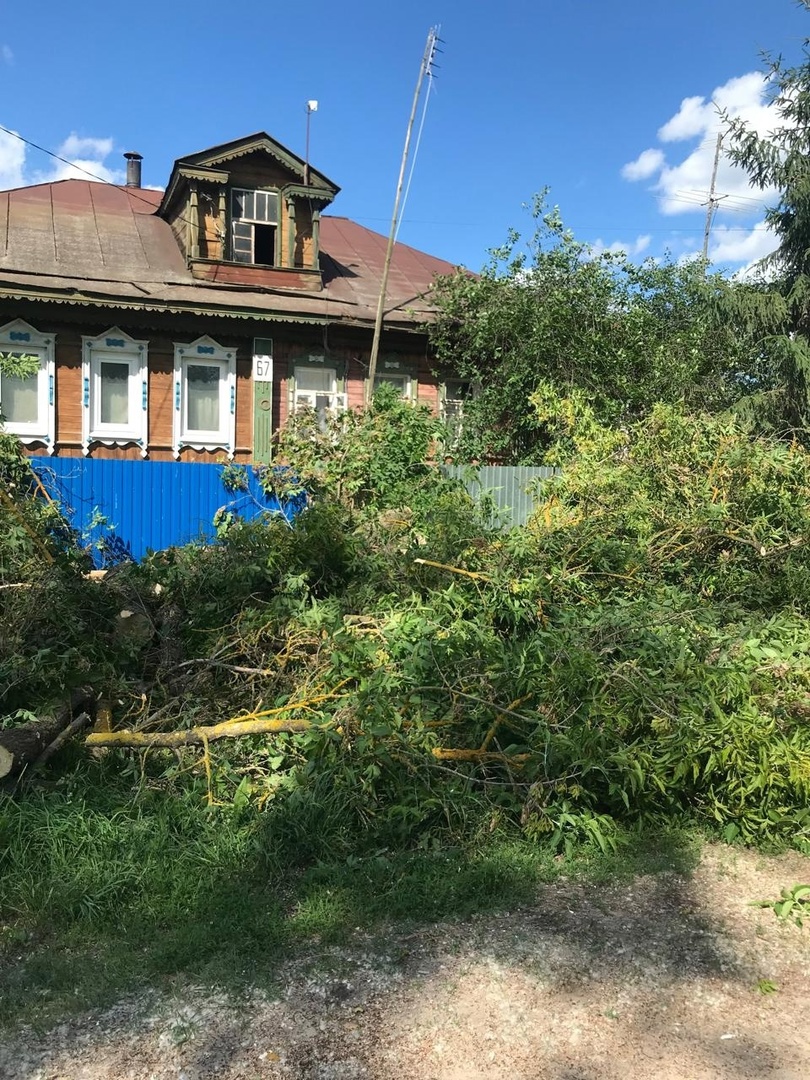 В Красной Горбатке аварийное дерево могло рухнуть на жилой дом | 24.06.2024  | Владимир - БезФормата