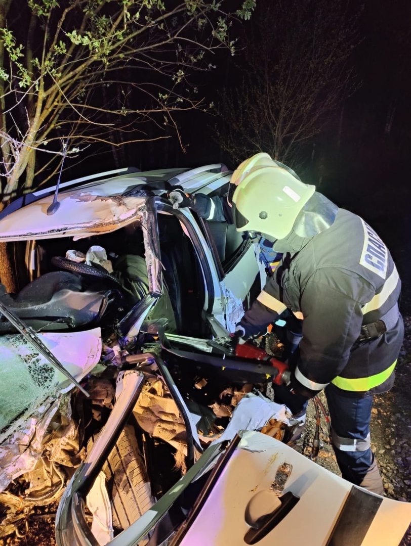 Во Владимирской области 2 автомобиля столкнулись с лосем